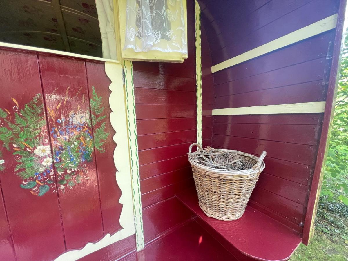 Fernwood Bed & Breakfast Ringwood Exterior photo